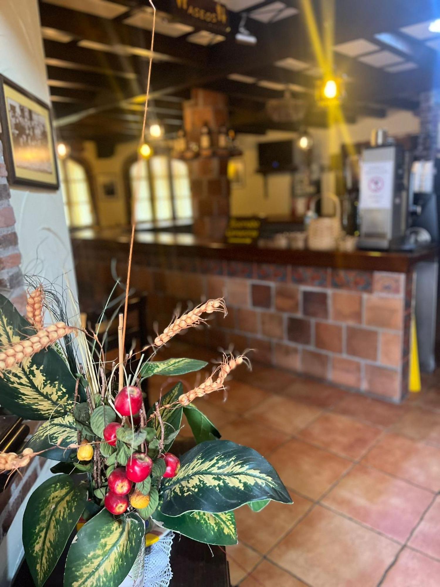 Hotel El Bricial Soto De Cangas Dış mekan fotoğraf