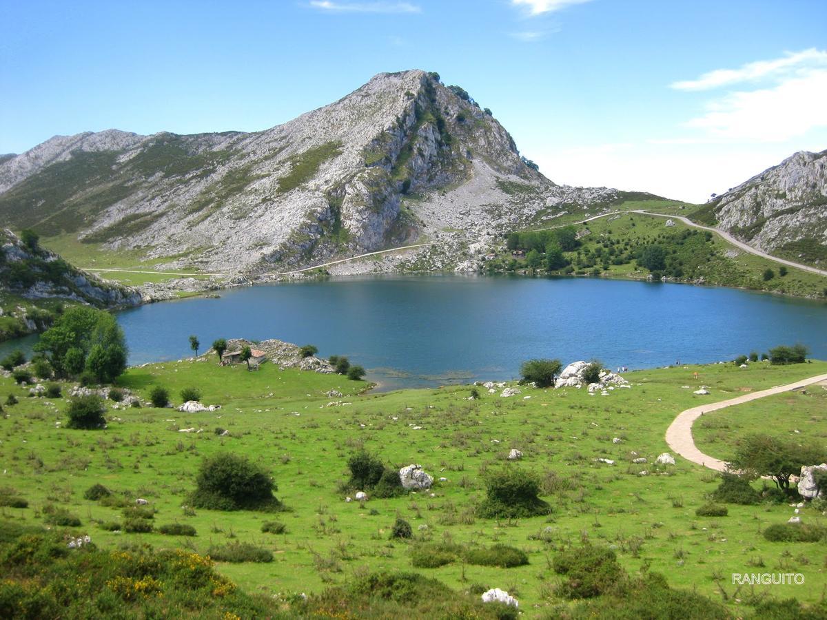 Hotel El Bricial Soto De Cangas Dış mekan fotoğraf