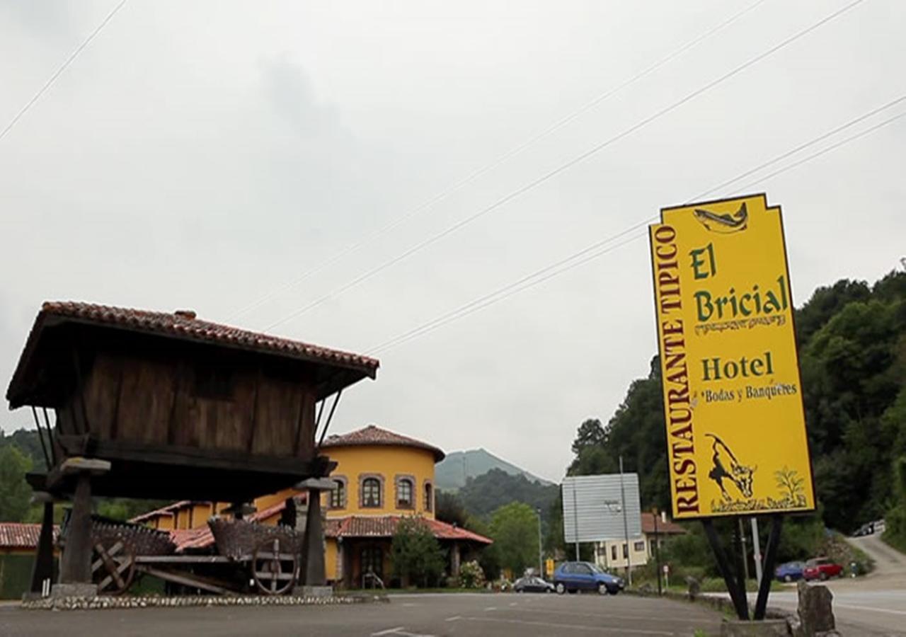 Hotel El Bricial Soto De Cangas Dış mekan fotoğraf