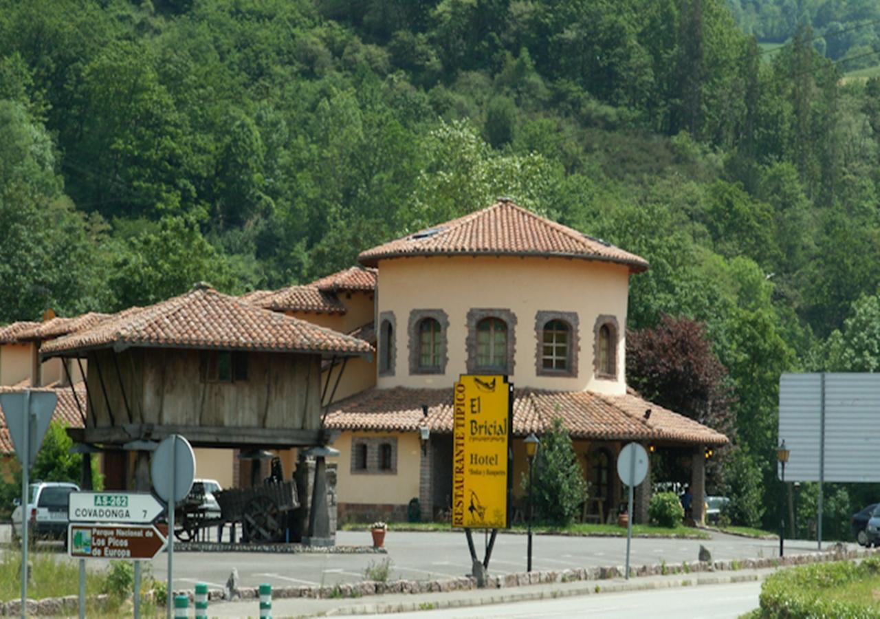 Hotel El Bricial Soto De Cangas Dış mekan fotoğraf